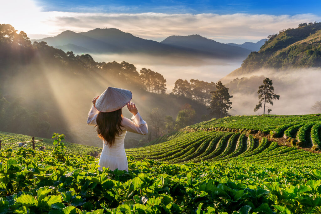 kerala tourism